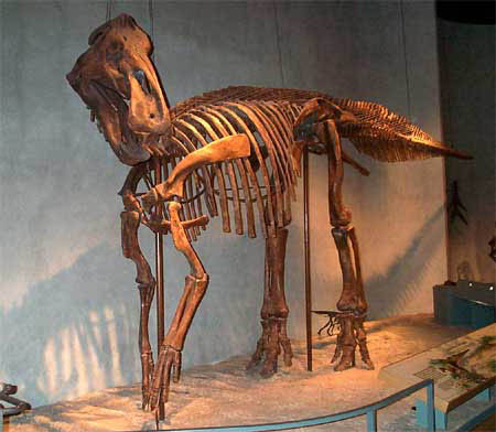 dinosaur with duck bill
